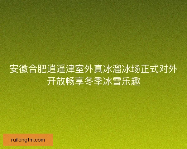 安徽合肥逍遥津室外真冰溜冰场正式对外开放畅享冬季冰雪乐趣