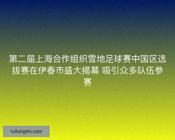 第二届上海合作组织雪地足球赛中国区选拔赛在伊春市盛大揭幕 吸引众多队伍参赛